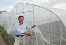 加密抗老化防虫网种植配用防虫网全新料实用