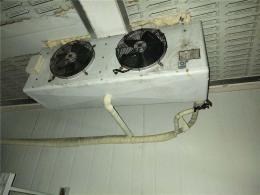 高明區(qū)上門(mén)回收發(fā)電機(jī)電話