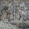 供应新疆铅丝石笼网 生态铅丝笼挡土墙厂家