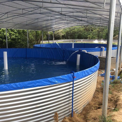 高密度水产养殖池 养虾铁桶支架镀锌板水池
