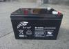 瑞达蓄电池RA12-12免维护电玩具消防照明