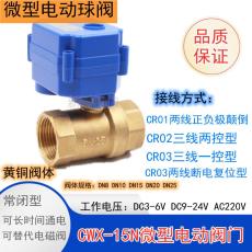 CWX-15N黄铜微型电动阀门