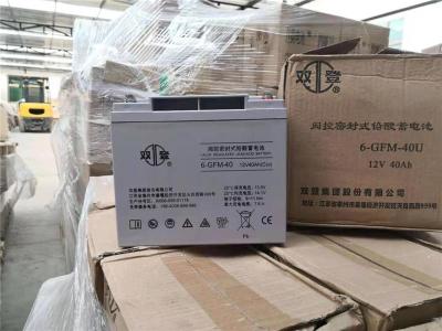 雙登蓄電池6-GFM-24密封式12V24AH參數(shù)價(jià)格