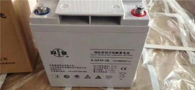 雙登蓄電池6-GFM-24密封式12V24AH參數(shù)價(jià)格