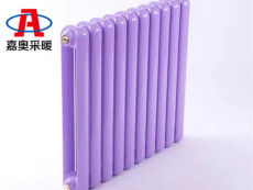 钢制柱式散热器的组成sqgz209 钢二柱型暖气