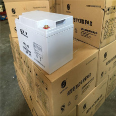 山东圣阳蓄电池GFM-300 铅酸蓄电池