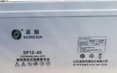 圣陽蓄電池SP12-65 正品