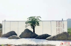 武汉公园用花岗石景石公司武汉新洲花岗石景
