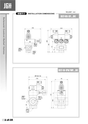 BSG-03-1PN-0-30-D-W220-10-A电磁控制溢流