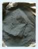 丹江口铑粉回收一公斤多少钱