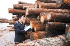 详细版木材进口清关流程讲解 建议收藏