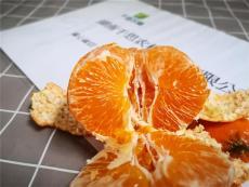 红美人和甘平柑橘 品种发展市场较稳定