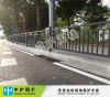 广州车行道黑色护栏 木棉花雕刻护栏 市政