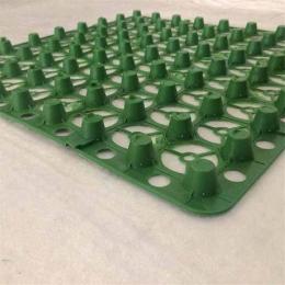 重庆蓄排水板绿化凹凸格板工厂