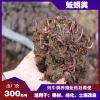 桂林蚯蚓粪怎么销售-柳州哪里有蚯蚓粪厂家