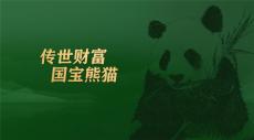 传世财富国宝熊猫2021年熊猫币发行40年纪念