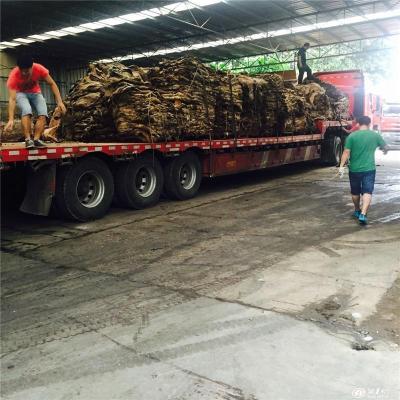 天津干驴皮怎样进口到中国 驴皮进口手续