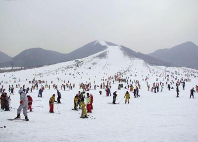 阜康景區(qū)登山魔毯輸送電梯 飛天魔毯設(shè)備施