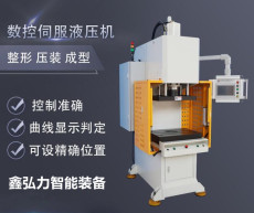 寧波壓裝伺服液壓機  數控伺服壓裝機