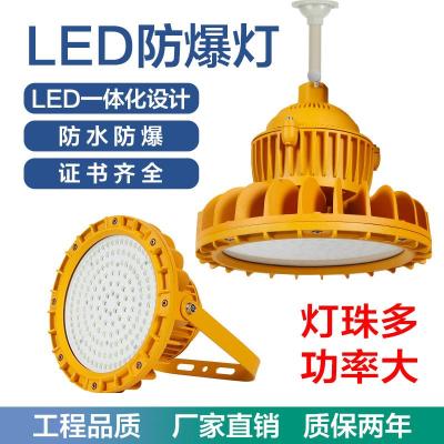 DL607LED多用途防爆灯50W/60W壁挂式泛光灯