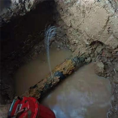 肇庆自来水管漏水探测公司家庭漏水探测维修