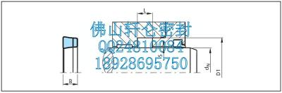 霞板巴塞尔密封特瑞堡巴塞尔密封BALSELE