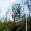 开平太阳能led路灯6米高30瓦规格