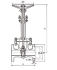 DZ40Y低温法兰闸阀  美标德标日标国标英标