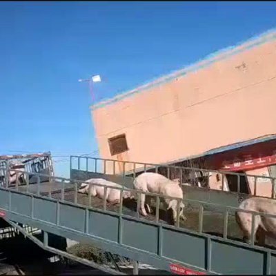 锦州移动式卸猪台 自动装猪平台2吨3吨现货