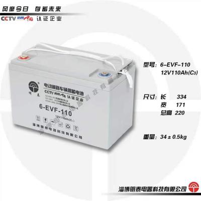 电动车明泰电池6-EVF-100明泰电池12V100AH