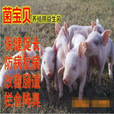 養殖用微生物菌劑改善腸道防拉稀促長