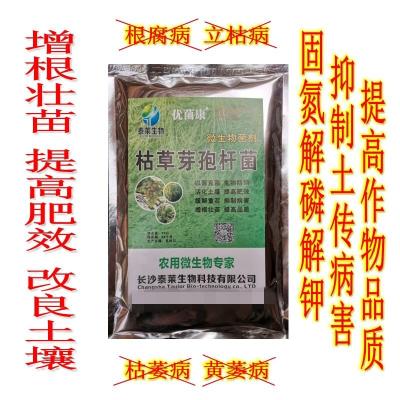 微生物菌劑增根壯苗防重茬防根腐提高肥效