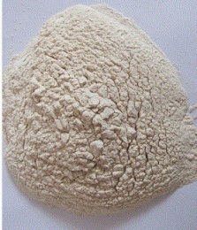 玉米糖稀专用固体高温淀粉酶2万单位液化酶