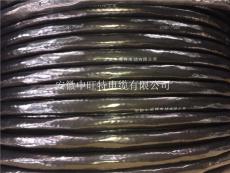 WDZ-YJE辐照交联低烟无卤阻燃电缆