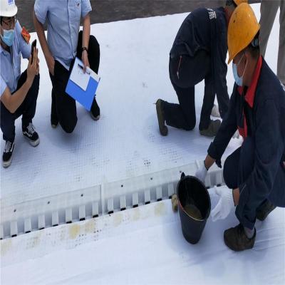 欢迎访问河北14高塑料凸片排水板批发