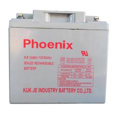 KB12500凤凰phoenix蓄电池12V50AH送货上门