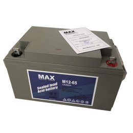 MAX蓄电池M12-24 12V24AH机房UPS储能