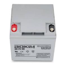 奥克莱蓄电池12V55AH安检物业配套