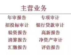 北京財務(wù)投標(biāo)審計報告