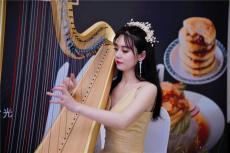 深圳竖琴表演 活动节目 深圳美女竖琴演出