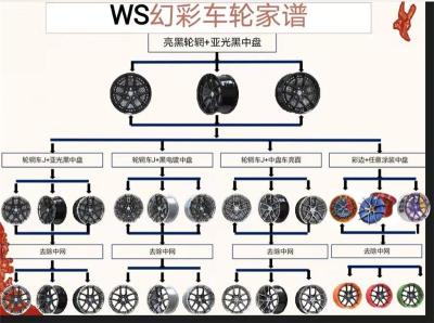 WS车轮两片式轮毂去中网变新款轮圈改色轮圈