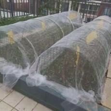 溫室大棚配件大棚防蟲網蔬菜防蟲網農用防蟲