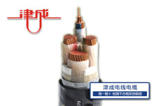 漢中低煙無鹵型分支電纜設備