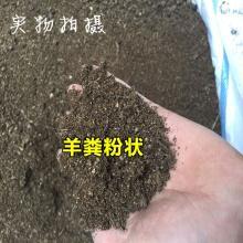 北京昌平羊粪有机肥种植大蒜一亩地多少合适