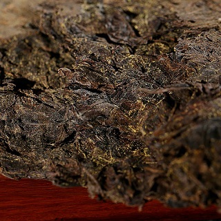 黑茶茯茶中生出金花菌 香木海黑茶文化