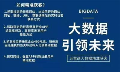 山东网站开发运营商大数据获客系统营销脱敏系统