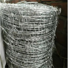 内蒙古镀锌刺绳厂家额尔古纳小区墙头防盗网