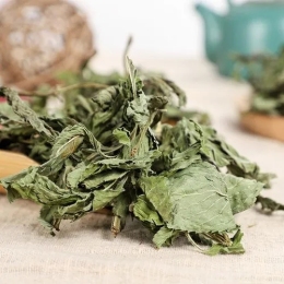 干薄荷葉廣州進口清關及標簽備案