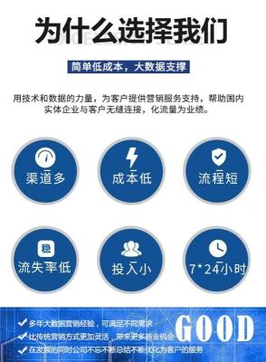 广东网站开发大数据精准营销获客系统
