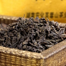 黑茶茯茶的金花 香木海黑茶文化